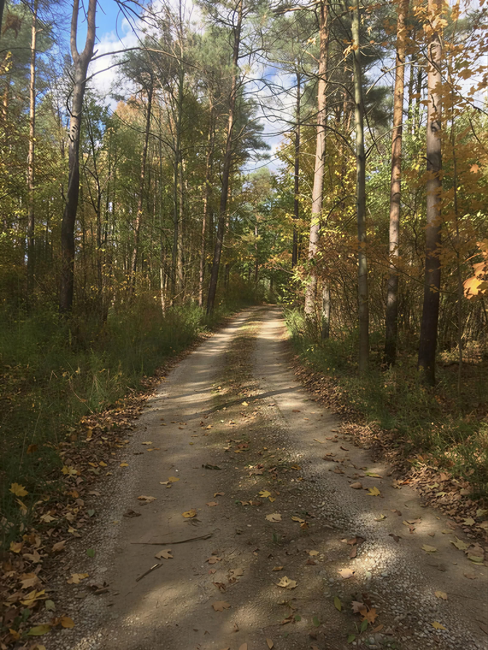 Yoga in der Natur auf eigene Faust