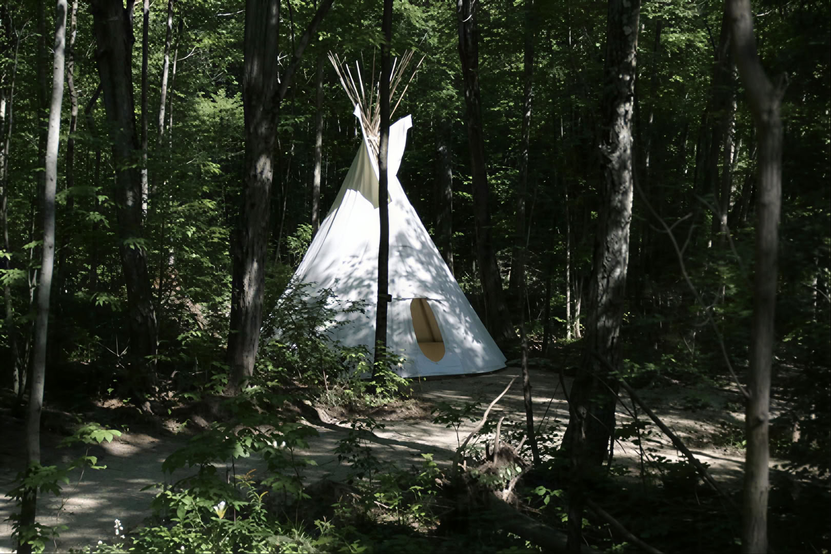 Begleitetes Yoga in der Natur