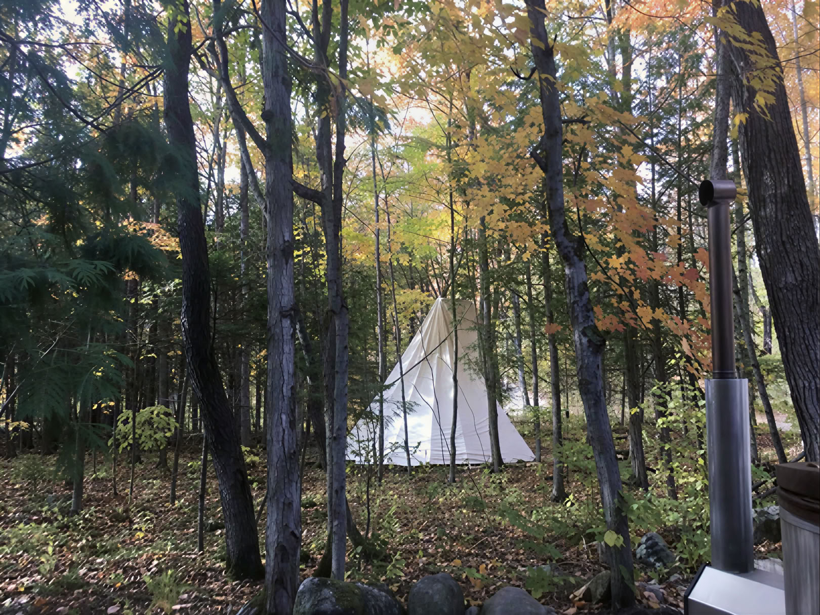 Begleitetes Yoga in der Natur