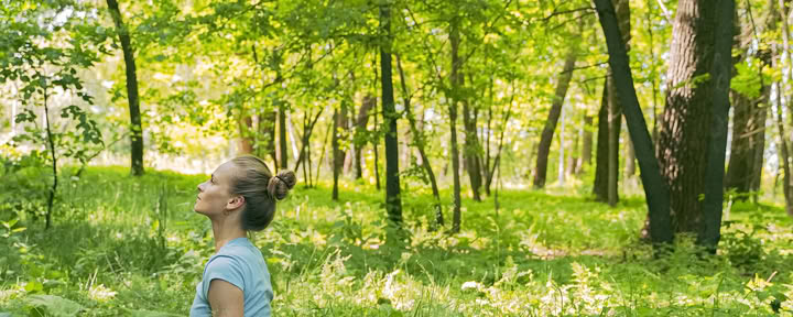 Begleitetes Yoga in der Natur