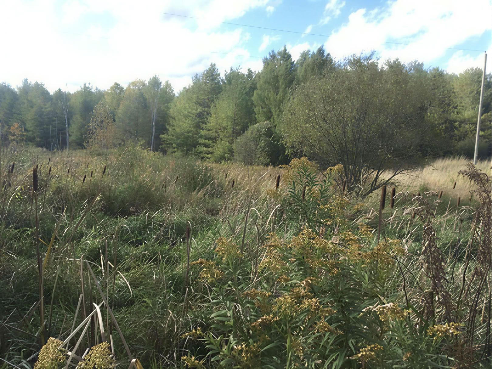 Kanufahren