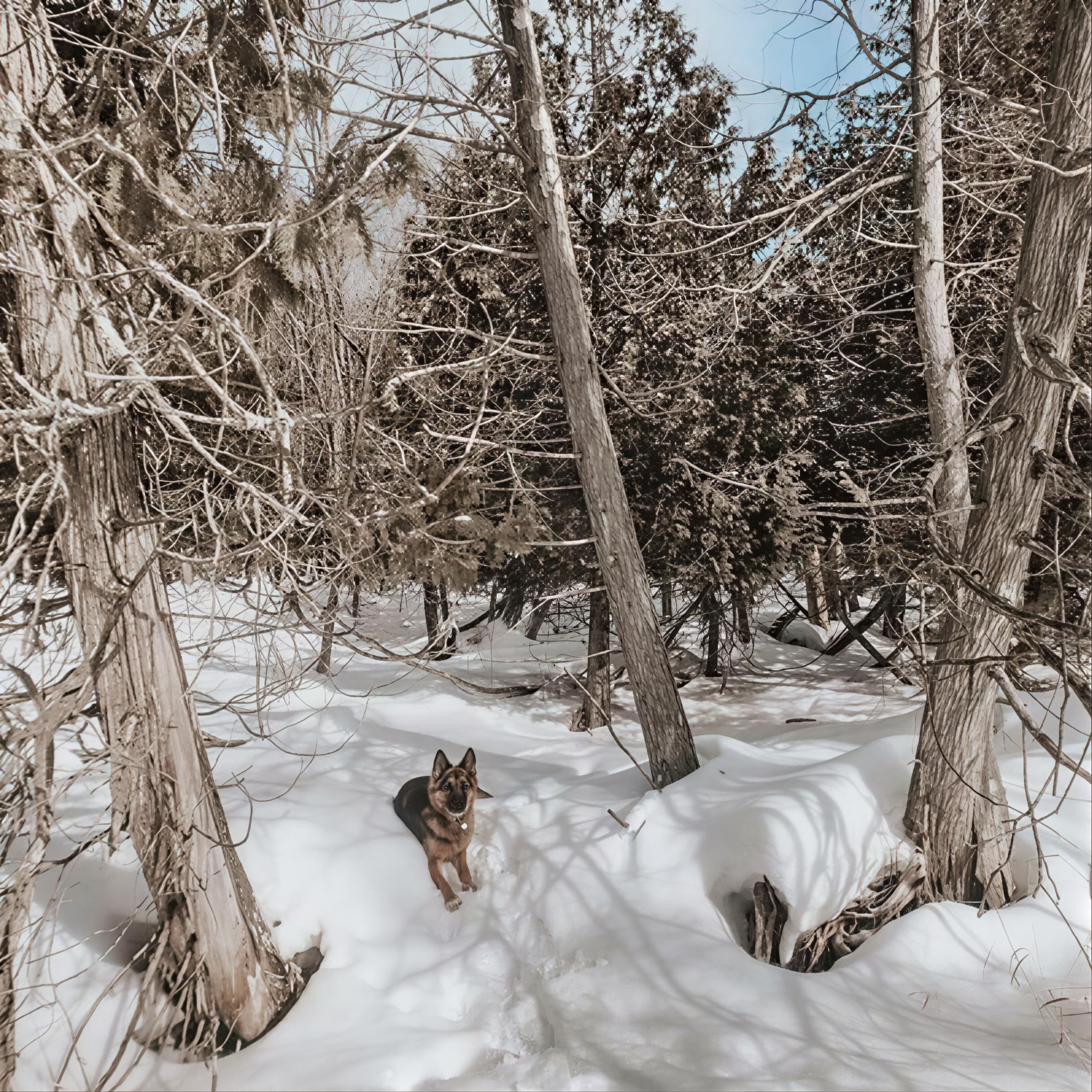 Schneeschuhwandern