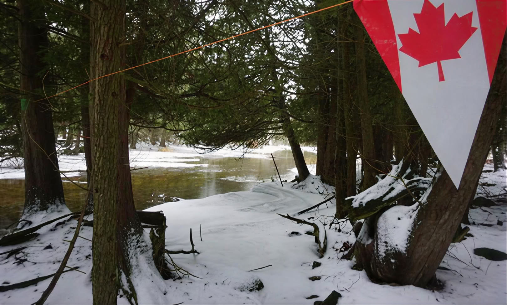 Schneeschuhwandern