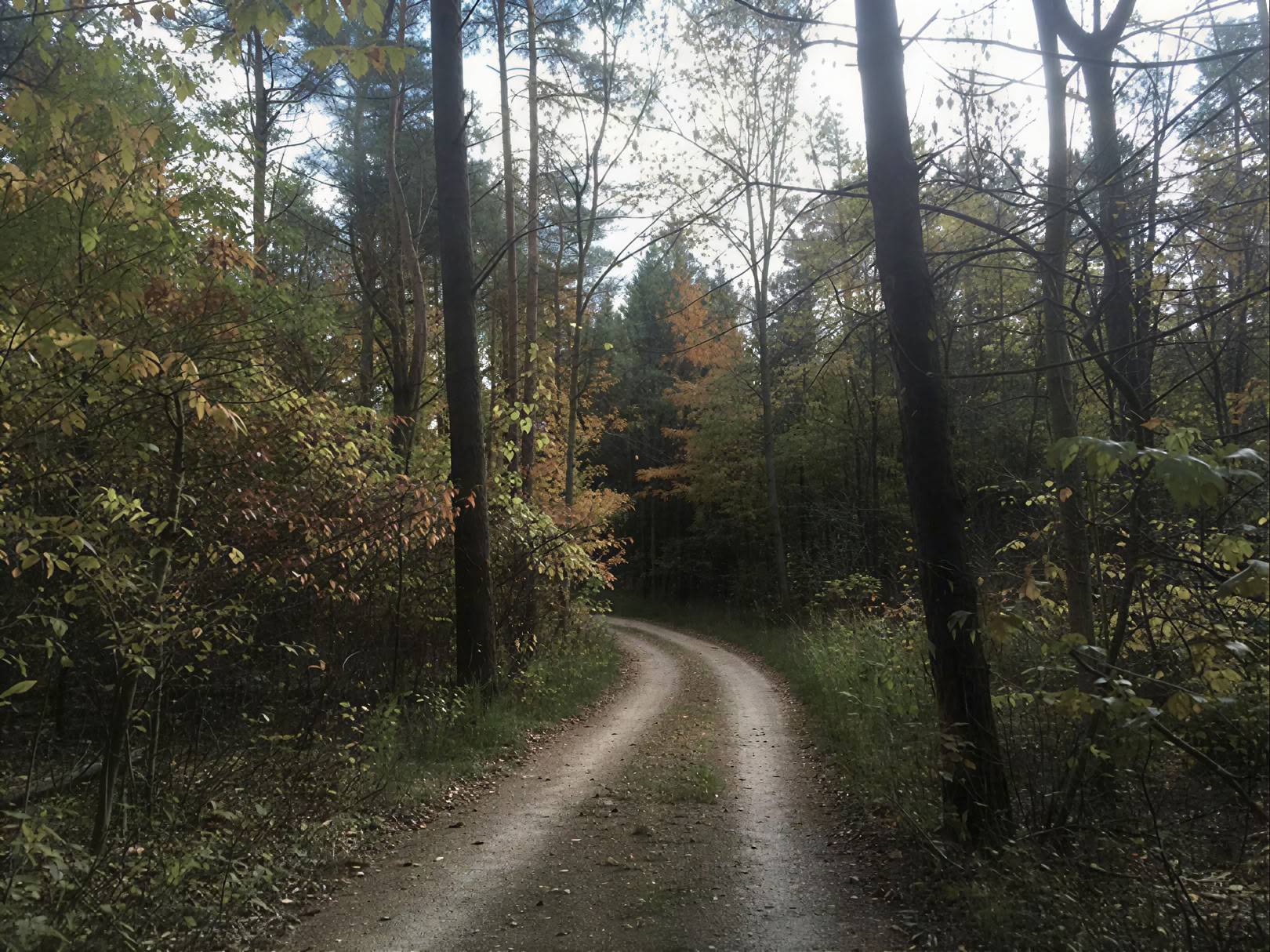 Pflanzenmedizin-Retreat