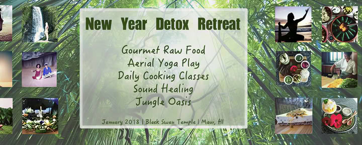 Neujahrs-Detox-Retreat