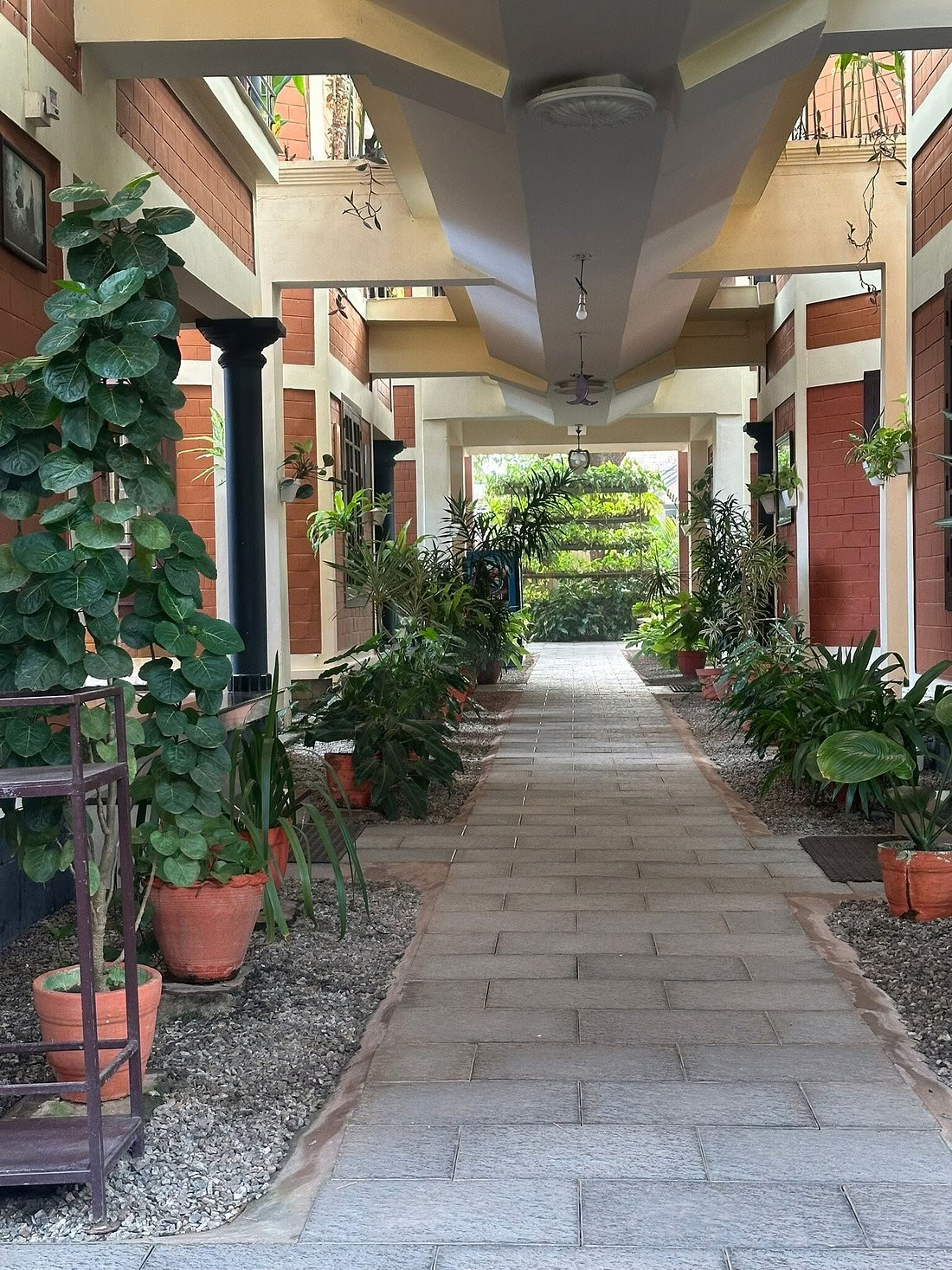 Zwischen Ozean und Stille: Yoga- und Ayurveda-Retreat im Herzen Keralas, Indien