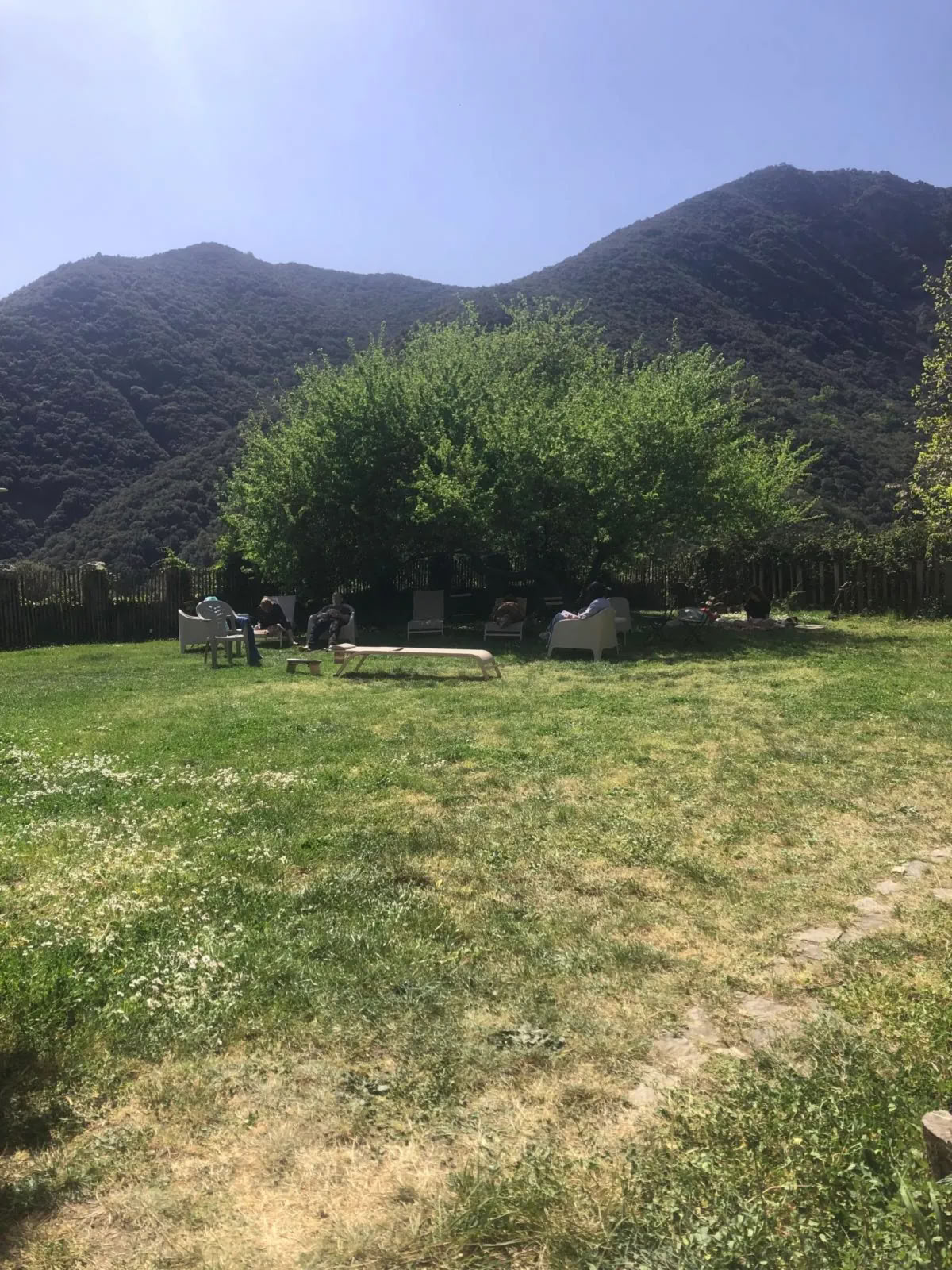 Retreat Ayahuasca, Bufo, Kambo, Yopo — 6 Tage