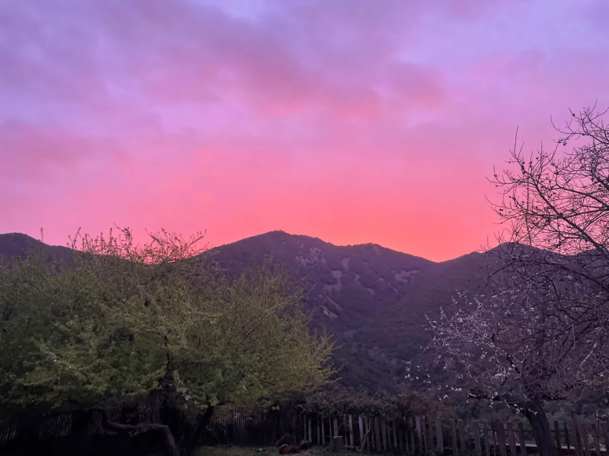 San Pedro Retreat und Ayahuasca — 4 Tage