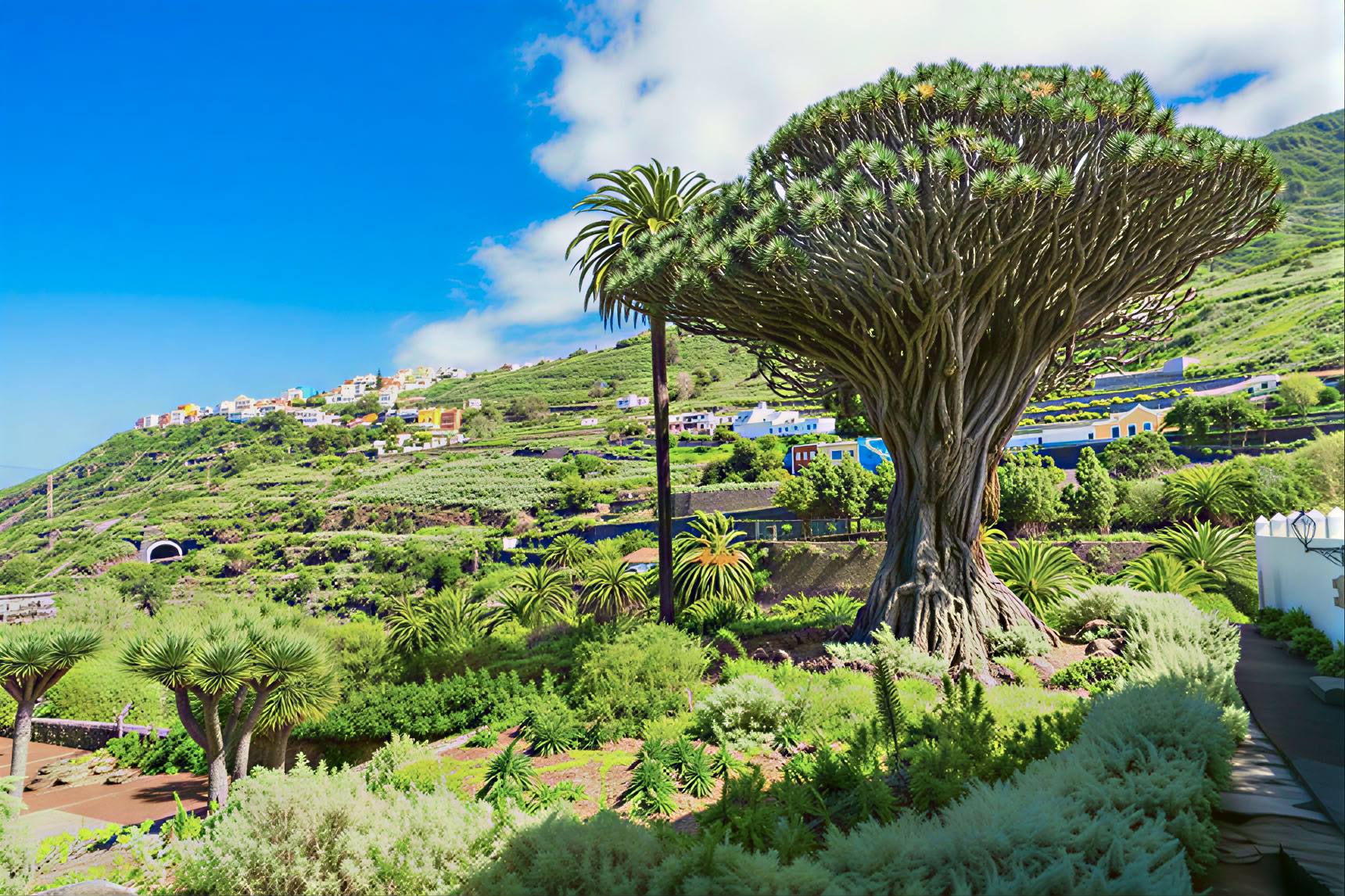 Meditationstour auf Teneriffa