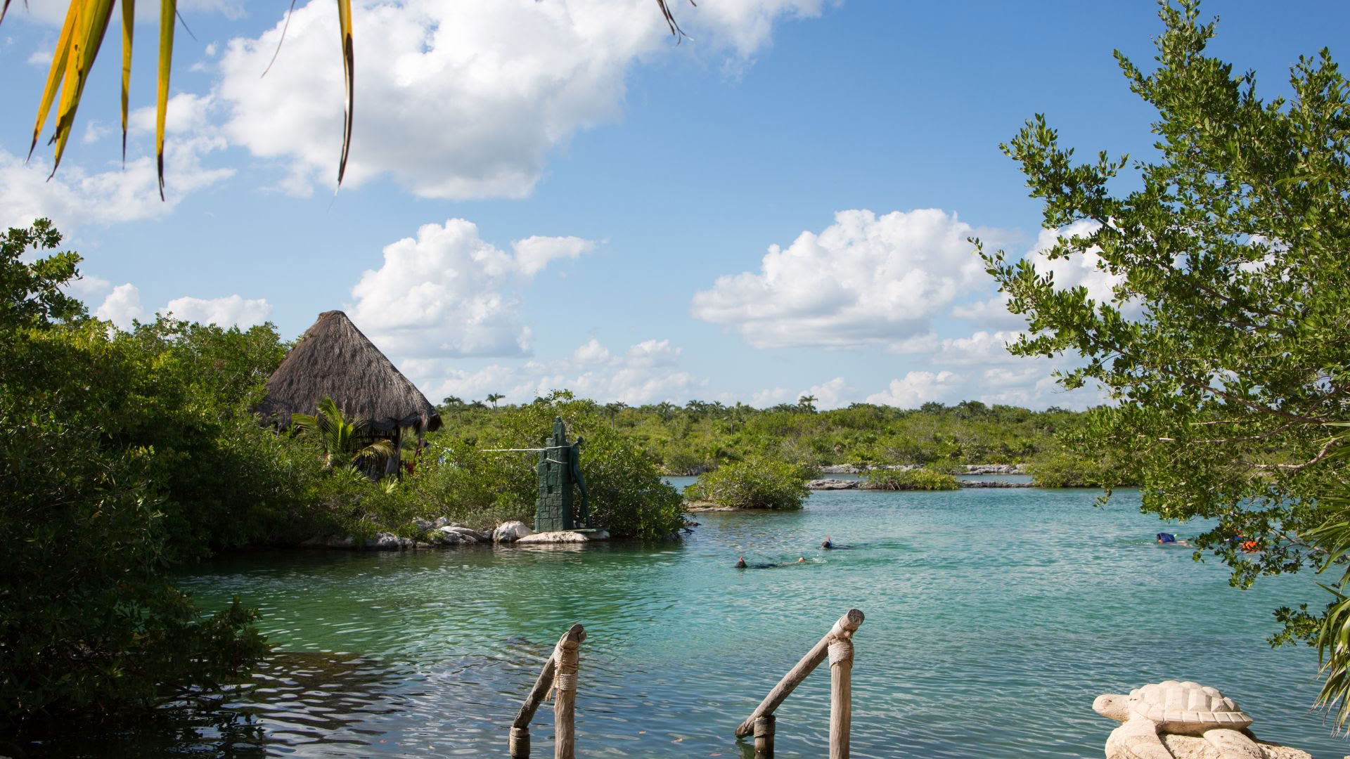 Akumal Wellness Retreat: Suite mit Meerblick