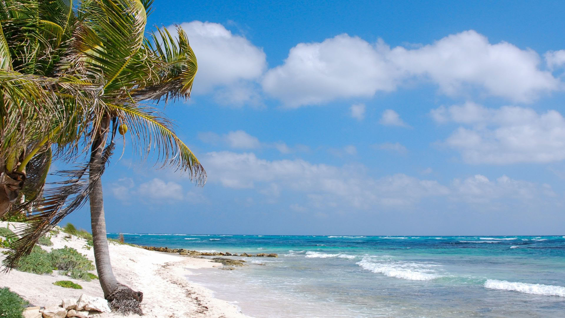 Akumal Wellness Retreat: Einzelzimmer mit eigenem Bad
