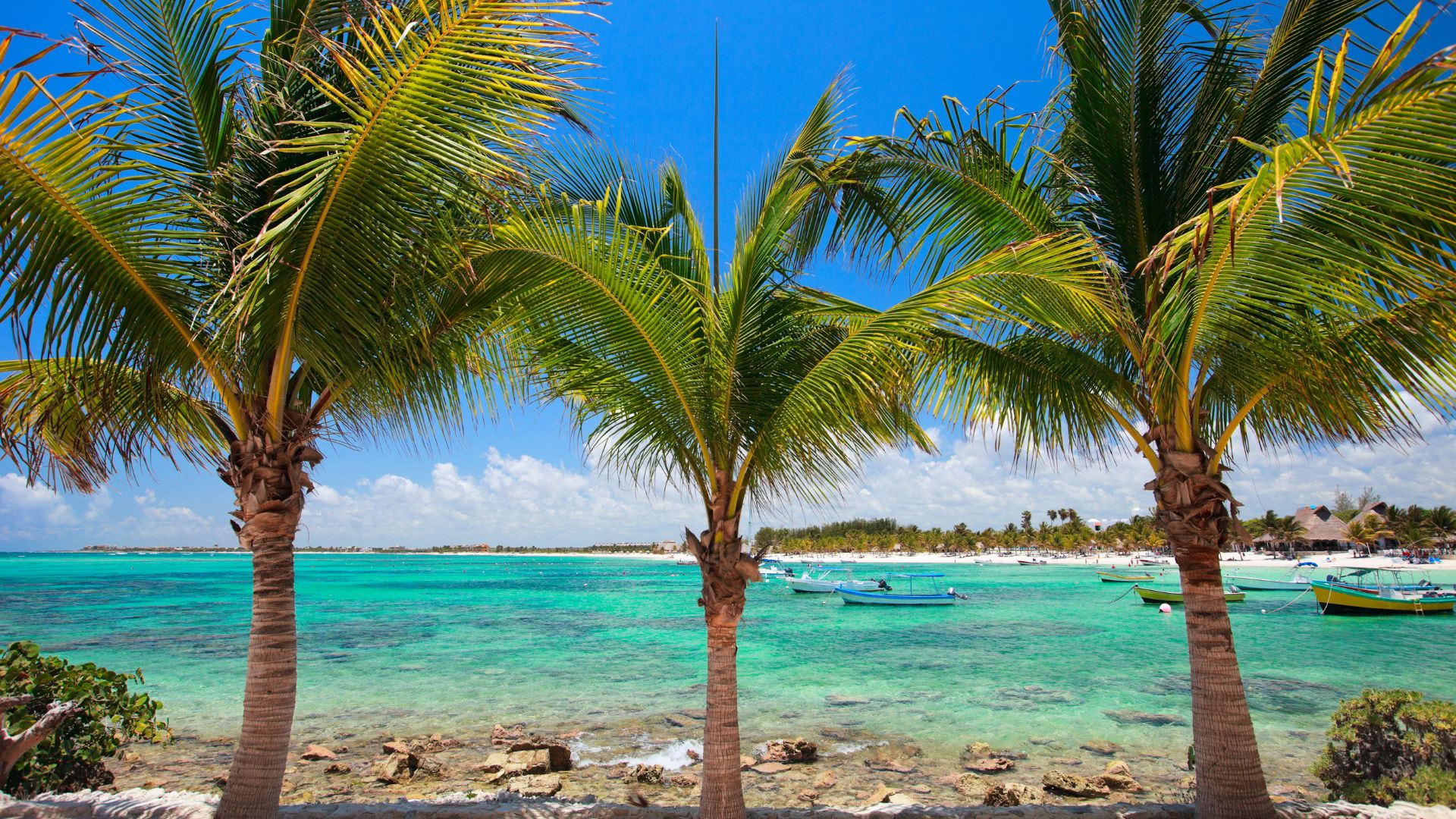 Akumal Wellness Retreat: Einzelzimmer mit eigenem Bad