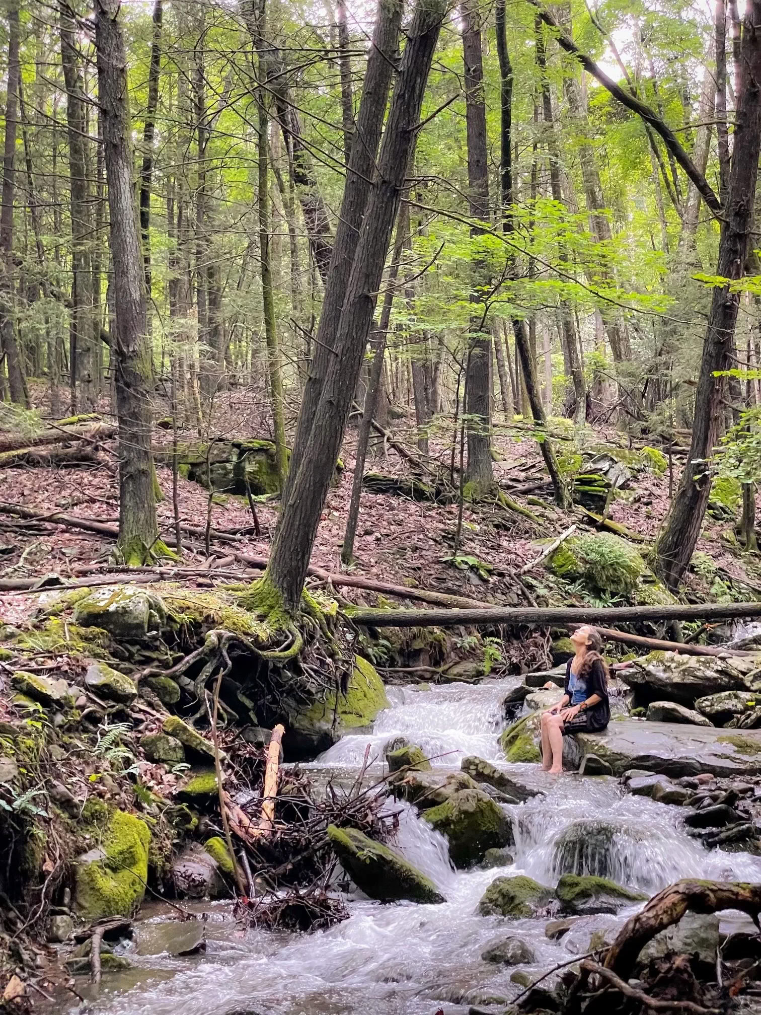 Ernteversammlung im N.E.S.T. mit der Hudson Valley Psychedelic Society — ESKFF NEST