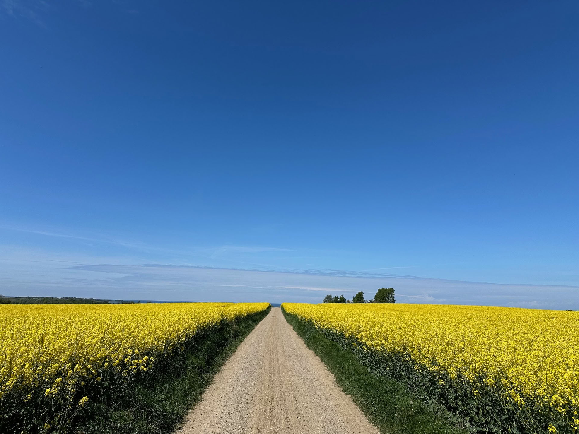 TRE (Trauma-/Spannungslösende Übungen) Workshop – Dein Nervensystem zurücksetzen — Der gehaltene Raum - Retreats und Workshops zur Regulierung des Nervensystems bei PTBS, komplexer PTBS, Angst, Burnout, Trauer, Trauma, chronischen Schmerzen,