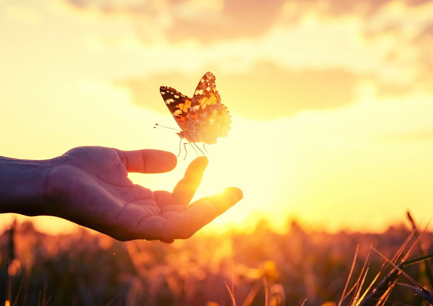 TRE (Trauma-/Spannungslösende Übungen) Workshop – Dein Nervensystem zurücksetzen — Der gehaltene Raum - Retreats und Workshops zur Regulierung des Nervensystems bei PTBS, komplexer PTBS, Angst, Burnout, Trauer, Trauma, chronischen Schmerzen,