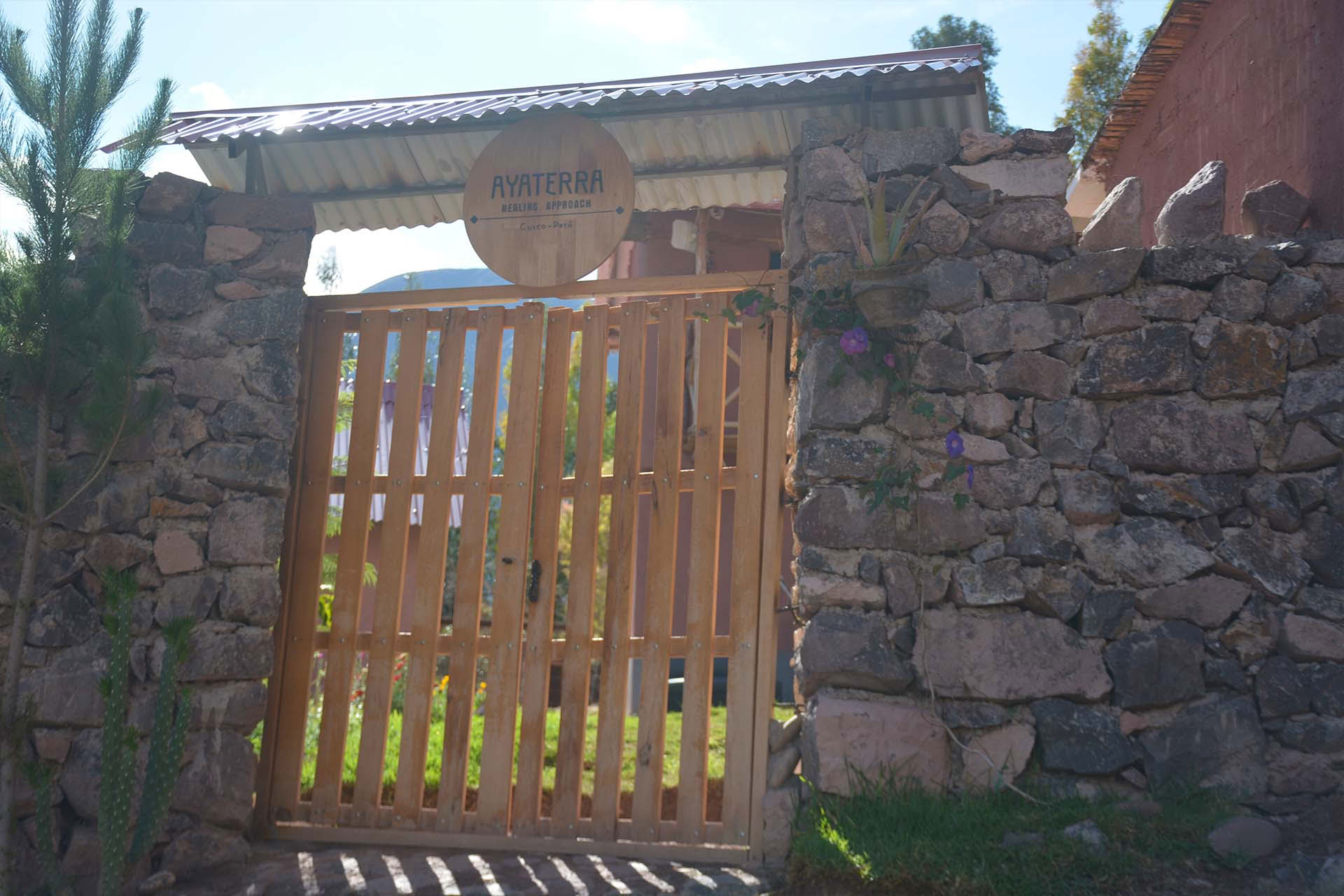 Ayahuasca- und San-Pedro-Retreat 3 Tage