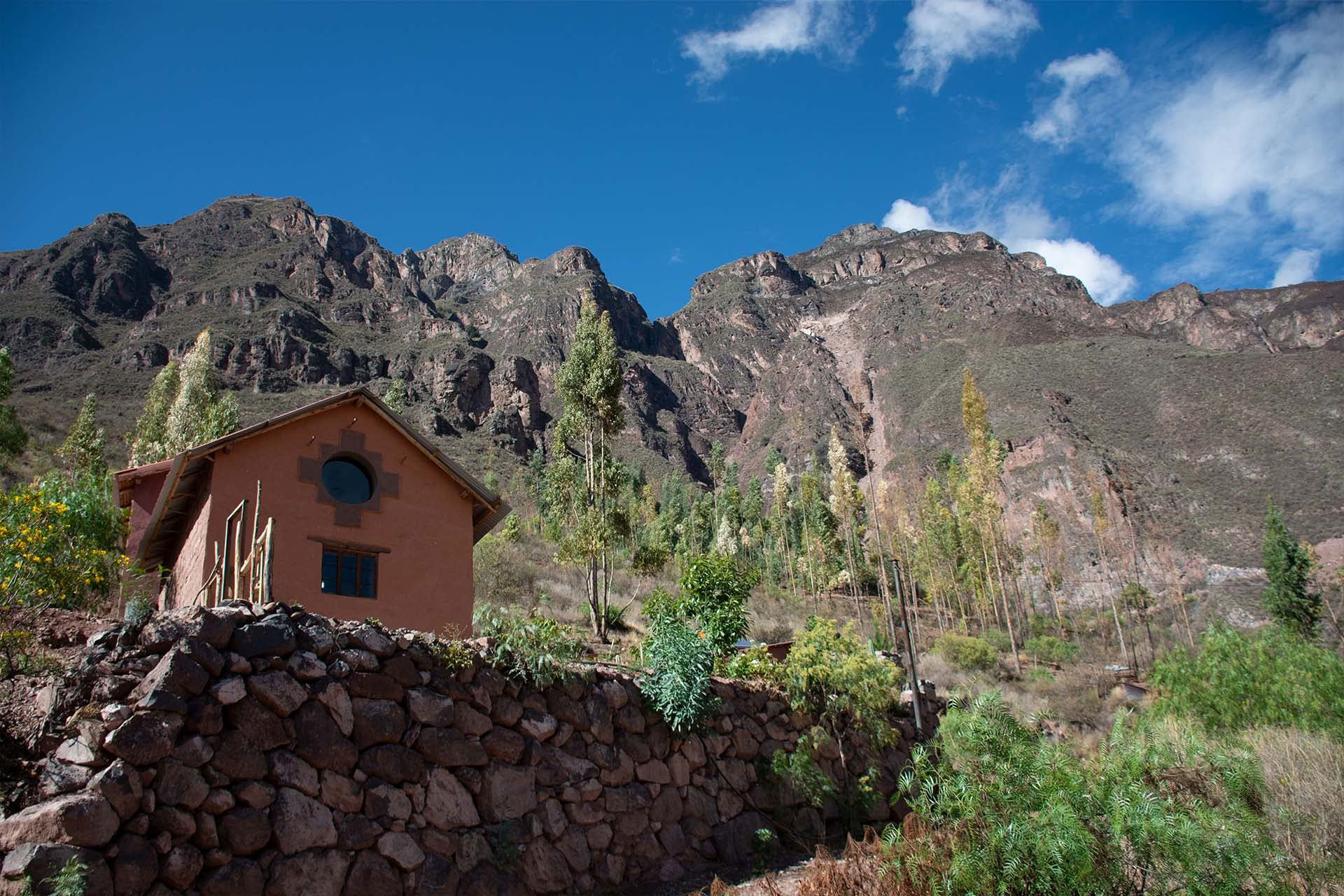 Ayahuasca- und San-Pedro-Retreat 3 Tage