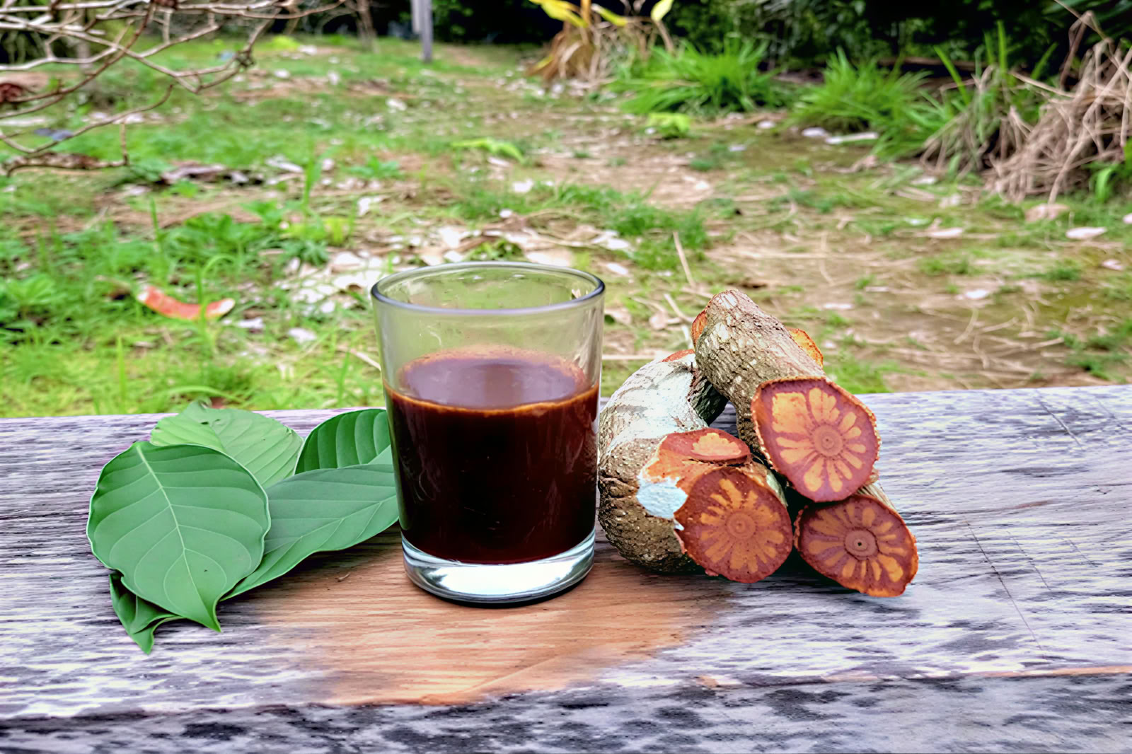 1-tägiges Ayahuasca-Retreat