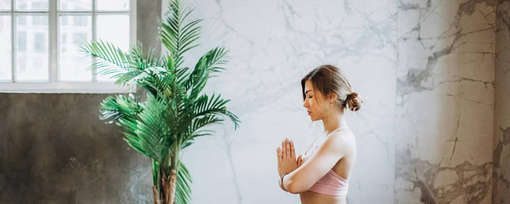 Hybride 200-Stunden-Hatha-Vinyasa-Yoga-Lehrerausbildung