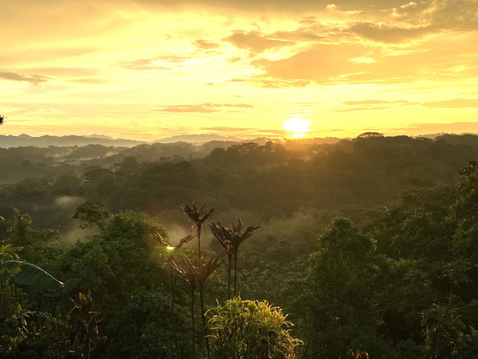 Yoga-Retreat in Costa Rica