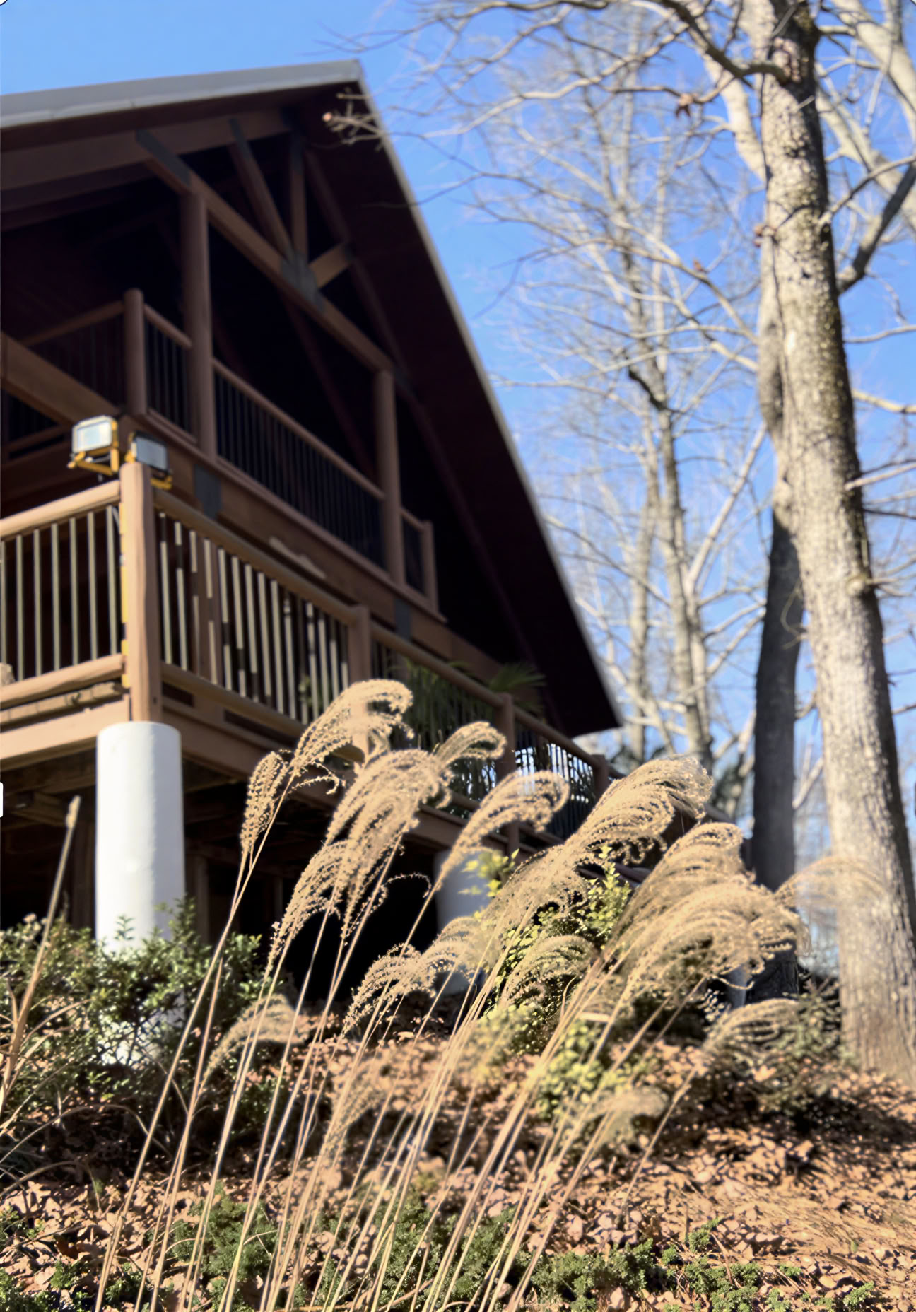 Kollektives Wellness-Erlebnis im Paradise Park ATL