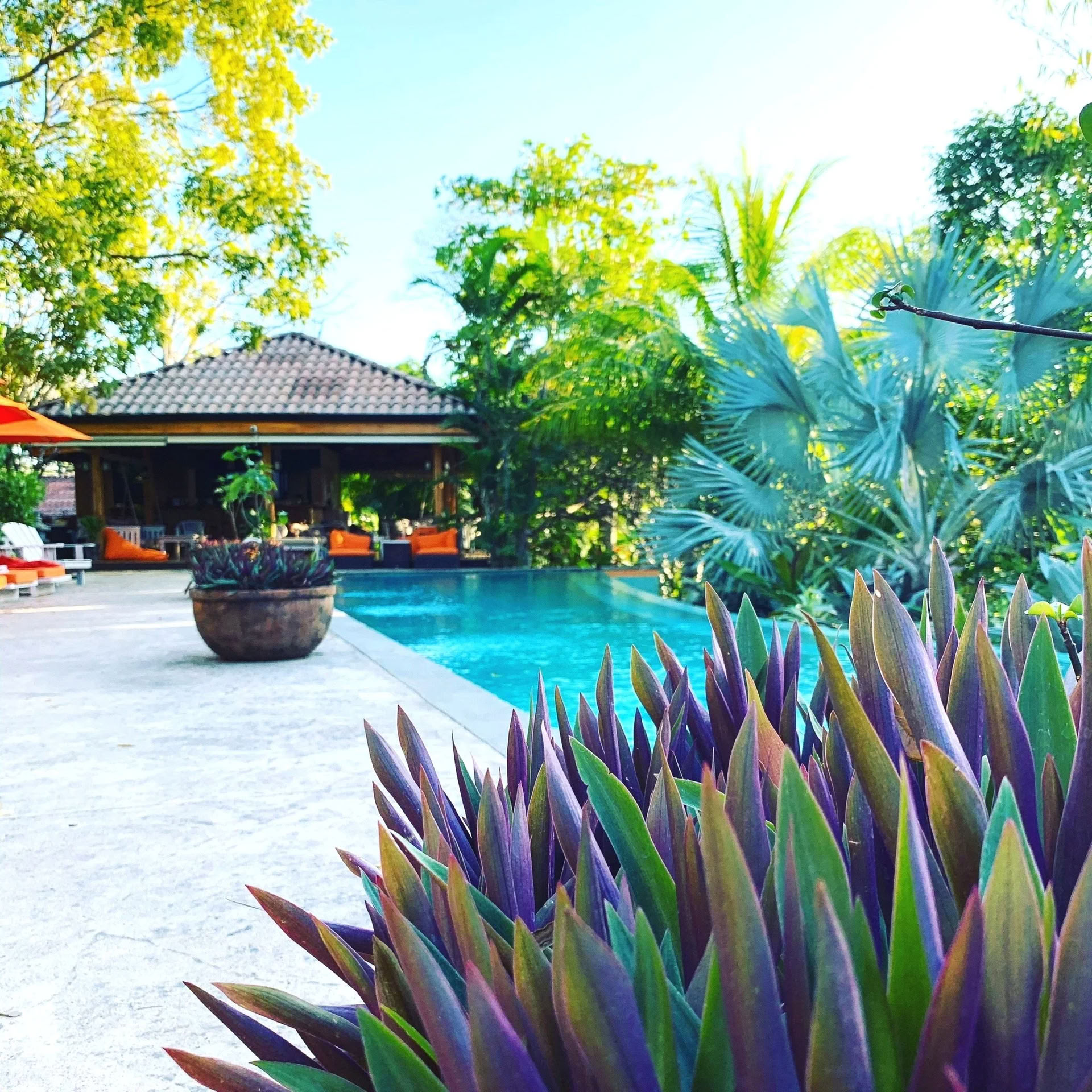 Costa Rica Januar Retreat 2027