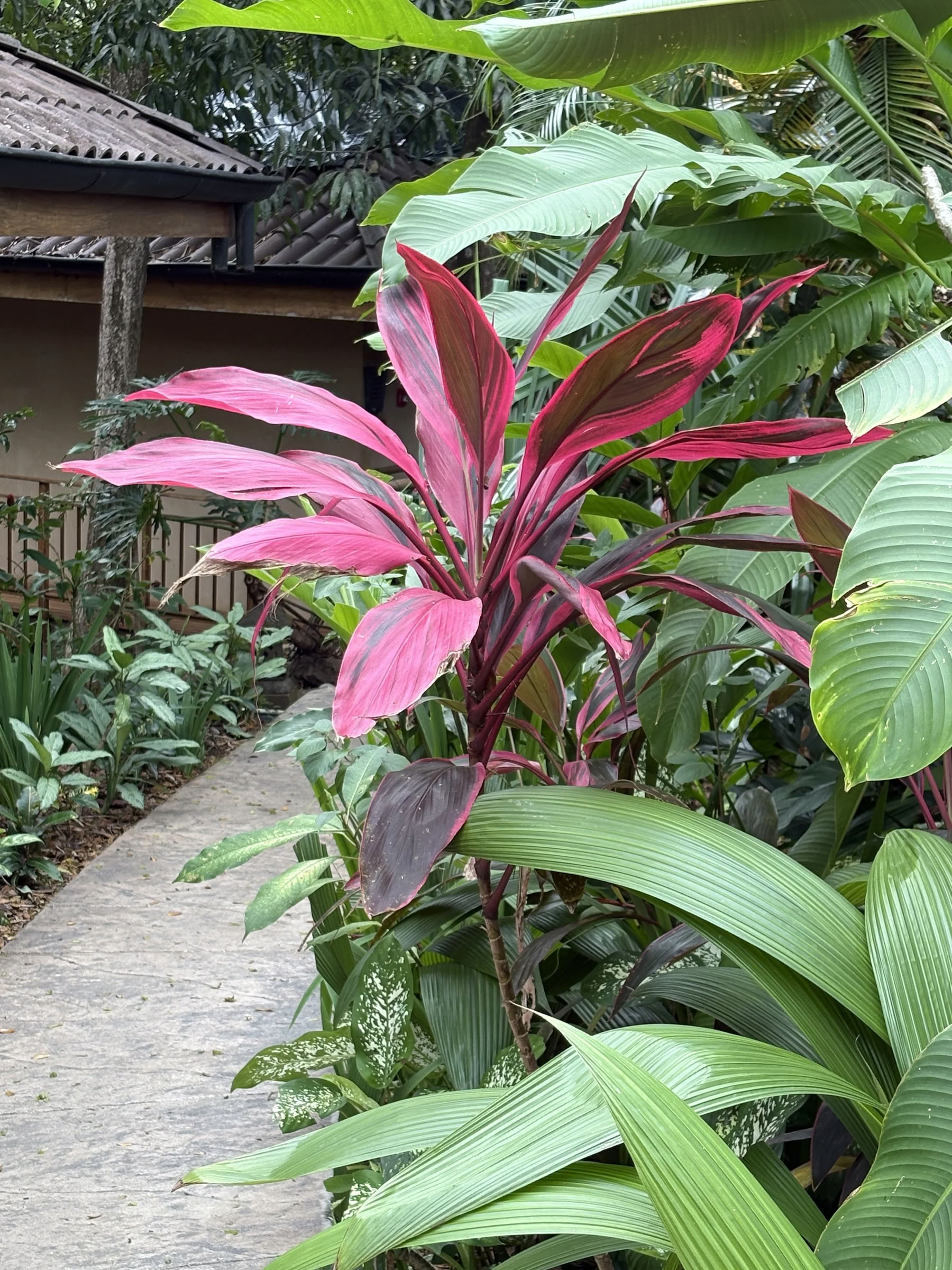 Costa Rica Januar Retreat 2027
