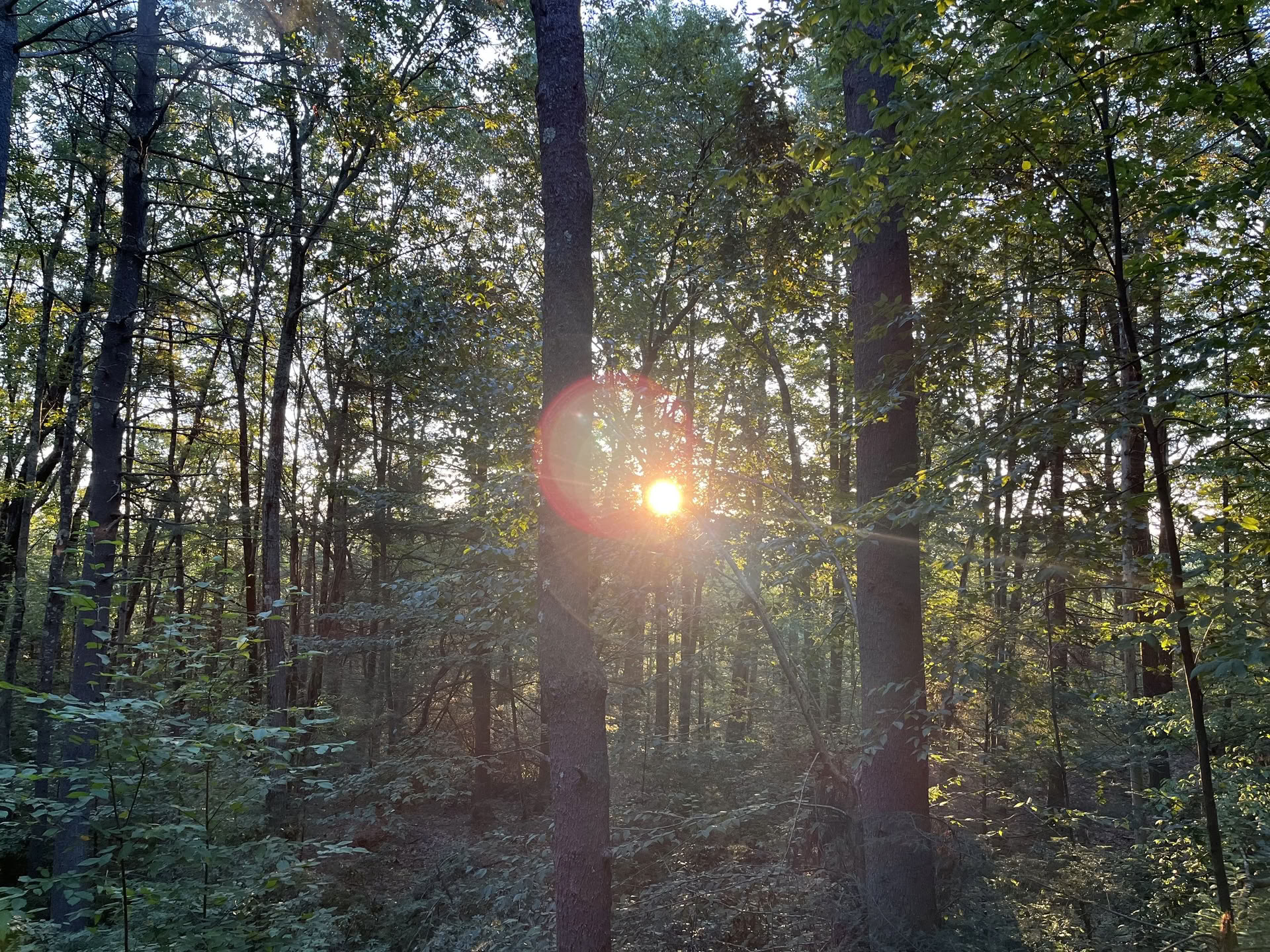 Shraddhā Temenos Retreat