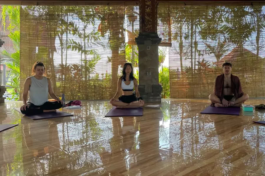 100-Stunden-Yogalehrer-Ausbildungskurs