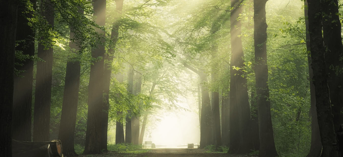 Sound-Healing-Immersion: Harmoniere Geist, Körper und Seele