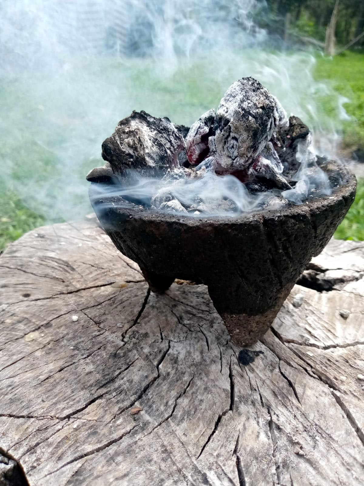 Private Ayahuasca-/San-Pedro-Zeremonie