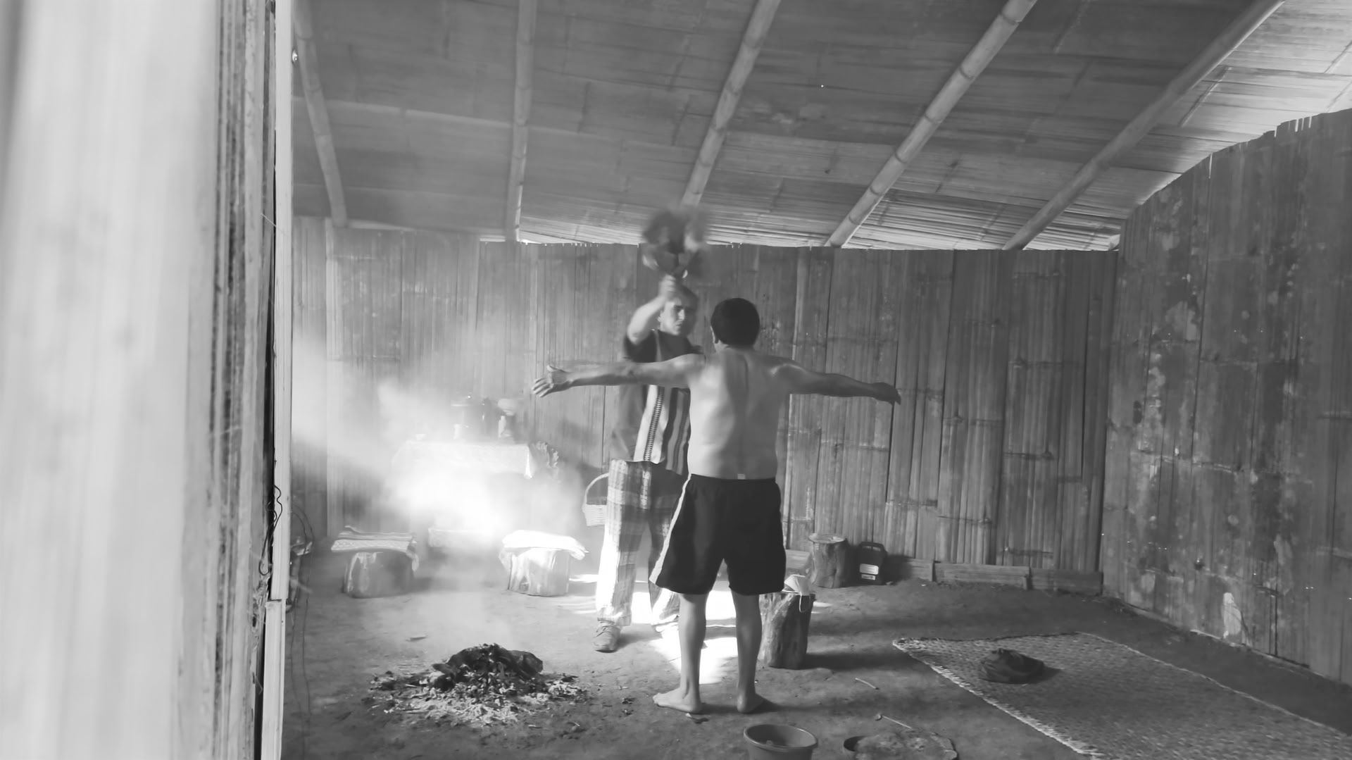 Private Ayahuasca-/San-Pedro-Zeremonie
