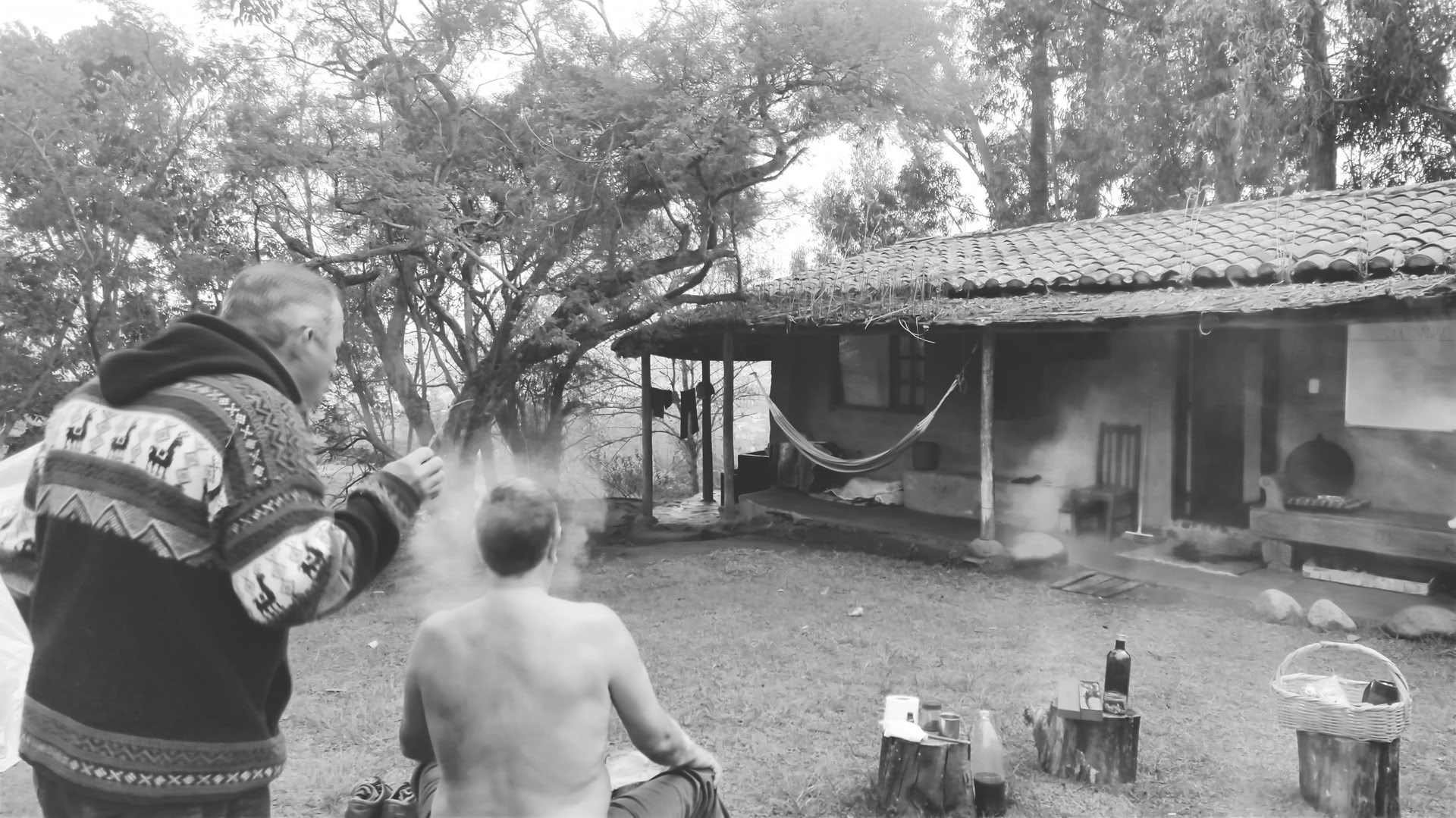Private Ayahuasca-/San-Pedro-Zeremonie