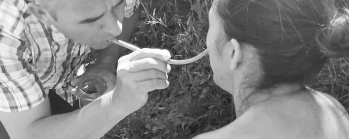 Private Ayahuasca-/San-Pedro-Zeremonie