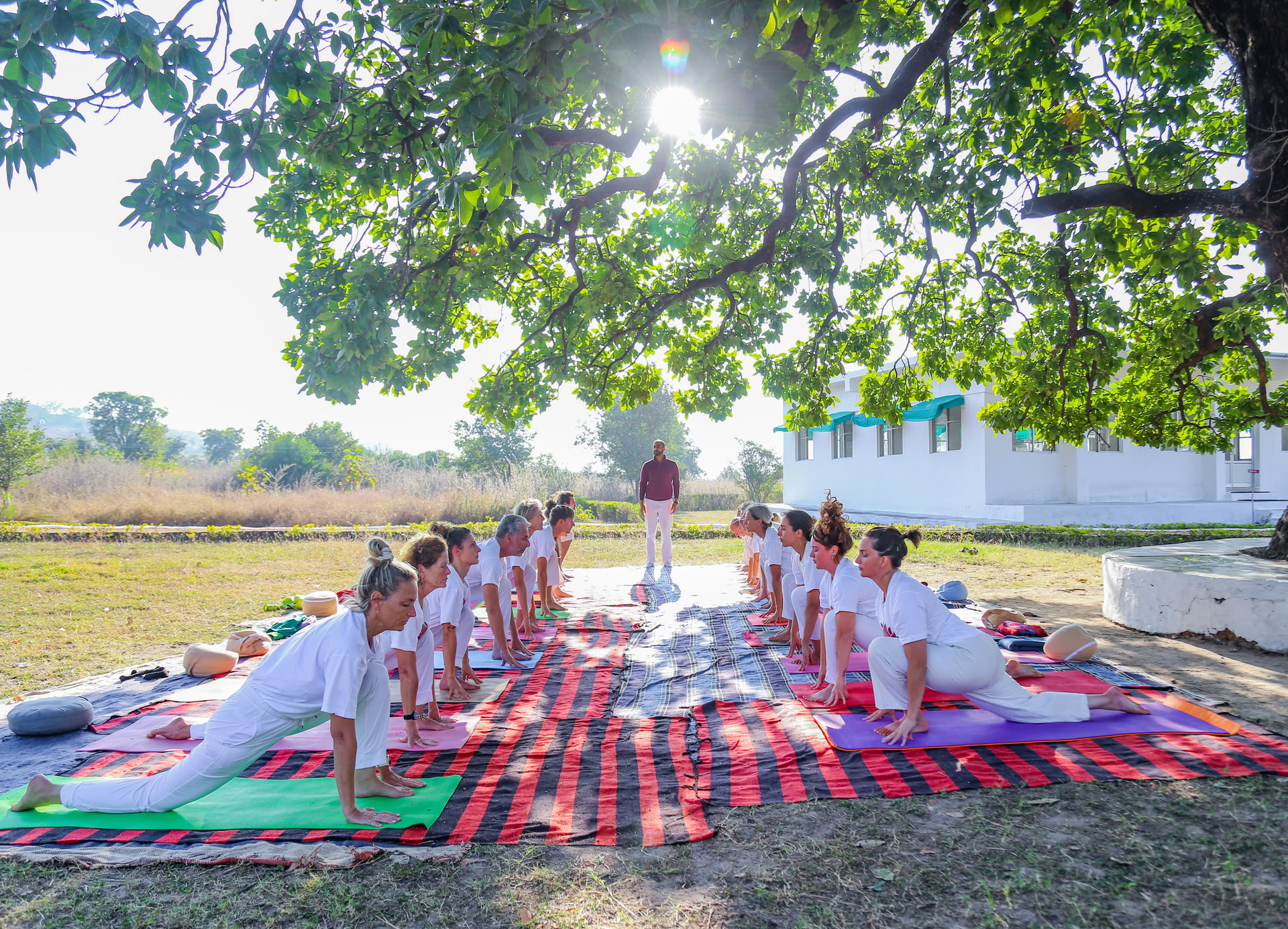 Yoga in Indien lernen mit einer 200-Stunden-Lehrerausbildung