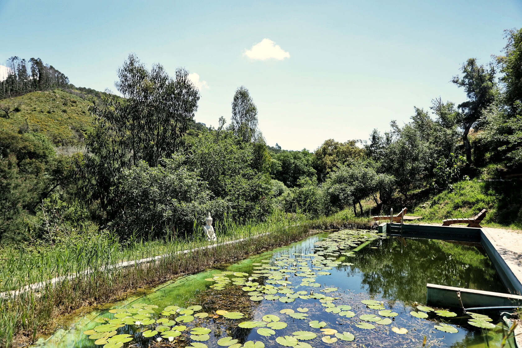 hOMe Yoga & Bhakti Retreat
