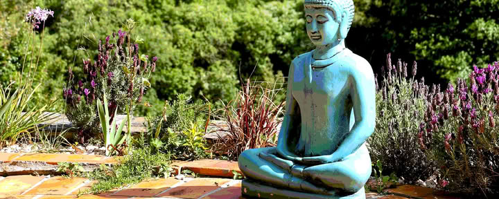 hOMe Yoga & Bhakti Retreat