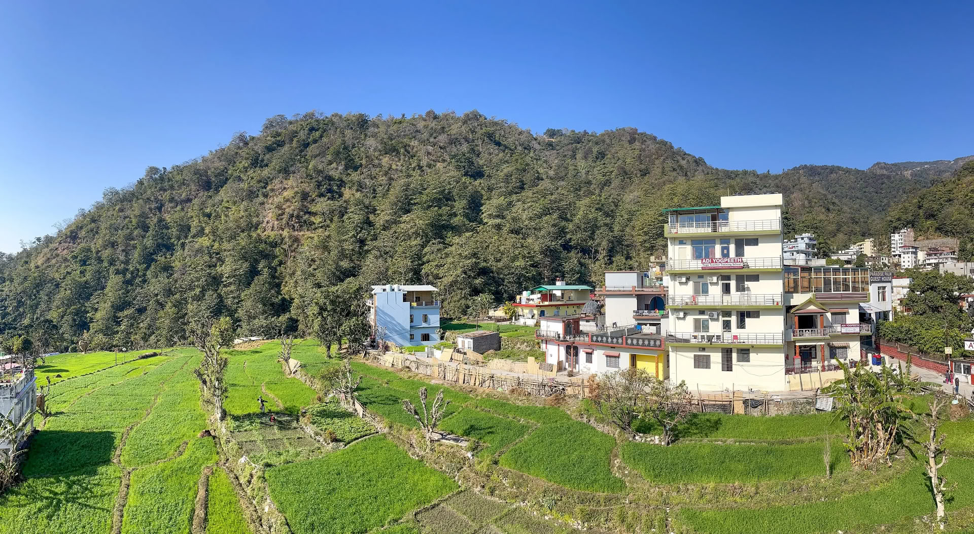 100-stündige Yogalehrer-Ausbildung in Rishikesh