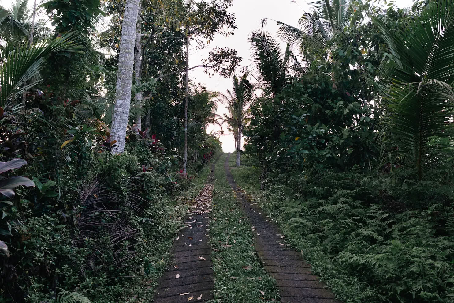 3-tägiges authentisches Heilungs-Retreat im geheimen Dschungel auf Bali