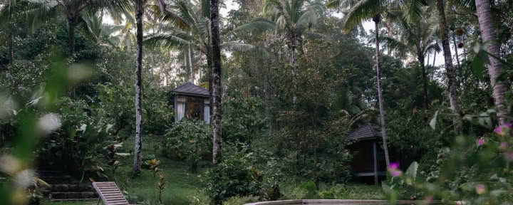 Digital-Detox-Retreat