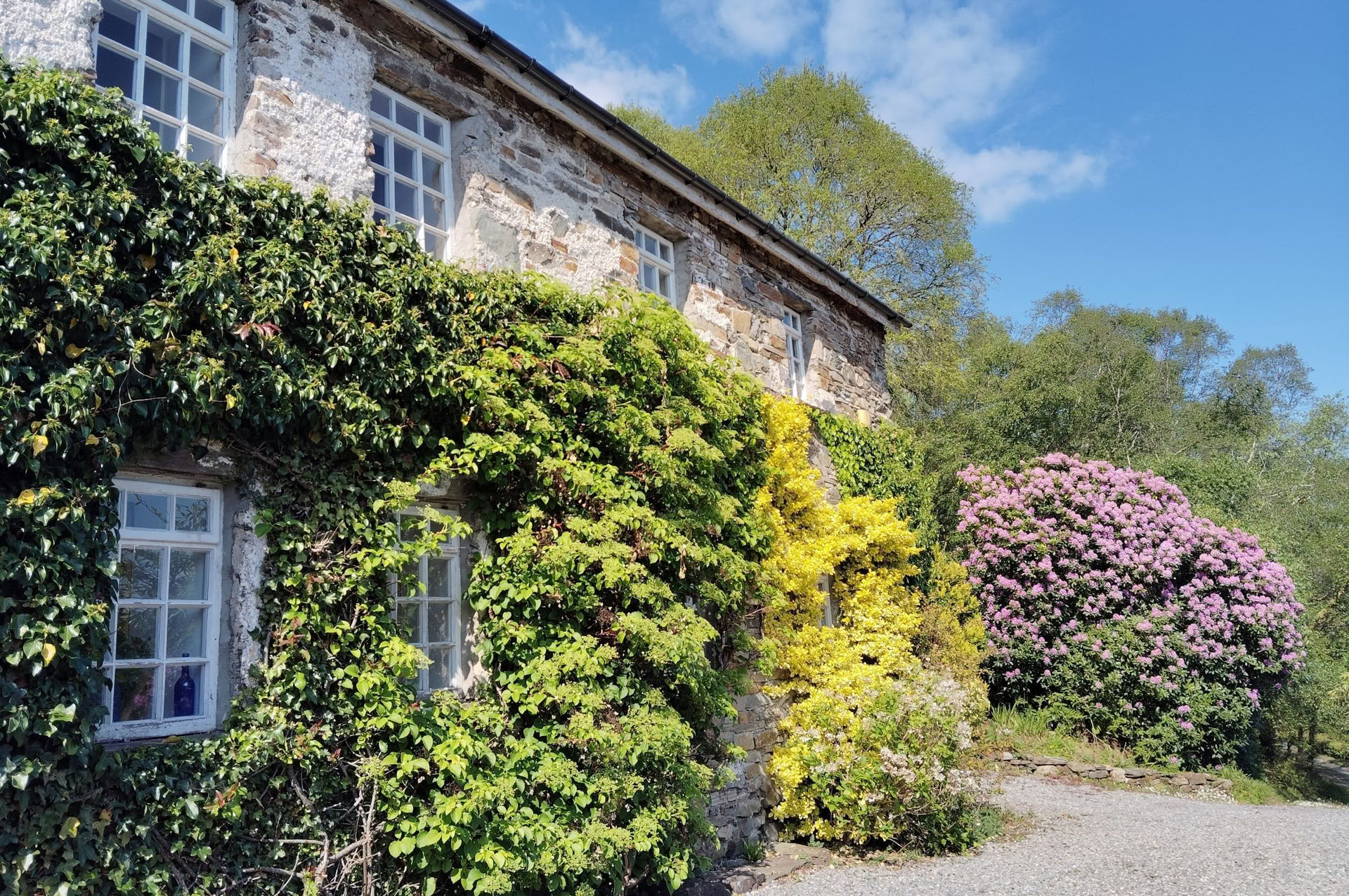 Drei Nächte Wellness- und sanftes Reinigungs-Wochenend-Retreat