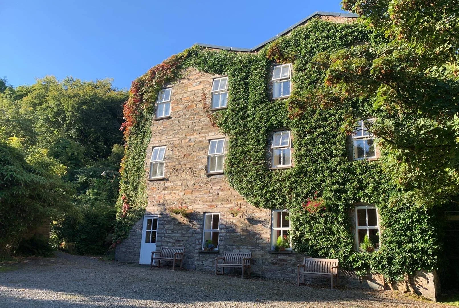 Drei Nächte Wellness- und sanftes Reinigungs-Wochenend-Retreat