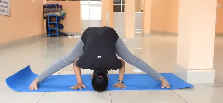 100-Stunden-Hatha-Yoga-Lehrertraining in Rishikesh – 1. bis 14. Jan.
