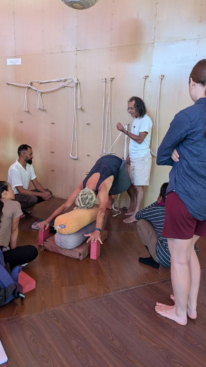 320-Stunden-Yogalehrer-Ausbildung Dharamshala