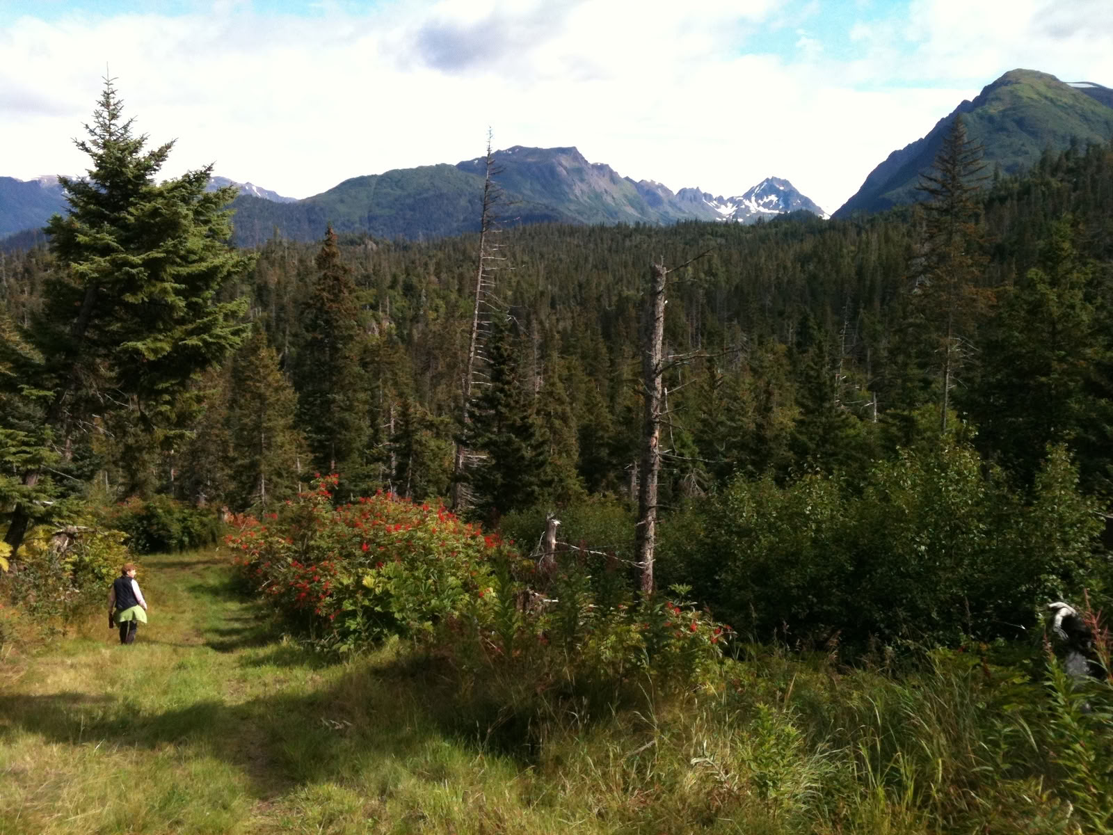 Lokales Wandern in Alaska