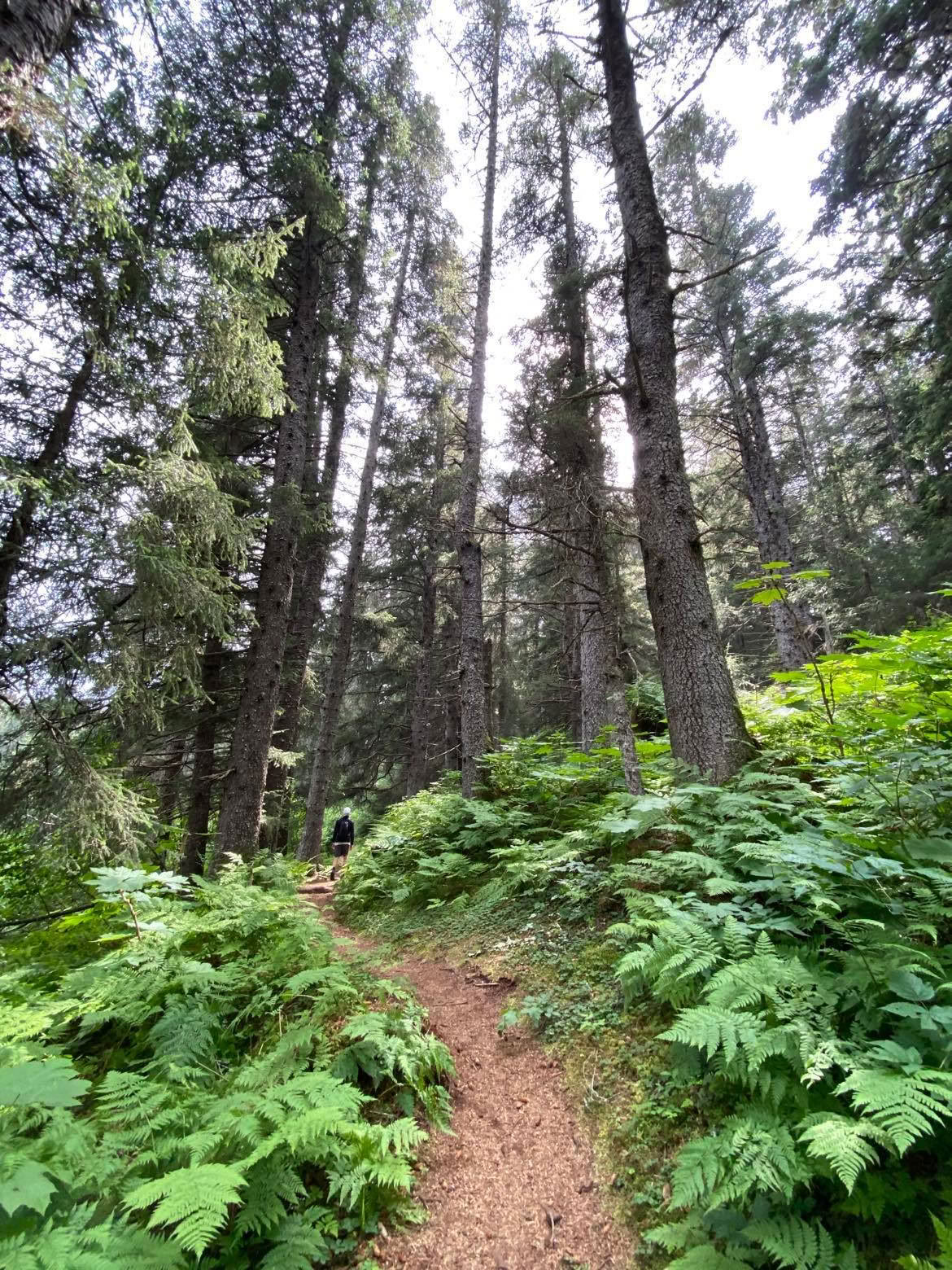 Lokales Wandern in Alaska