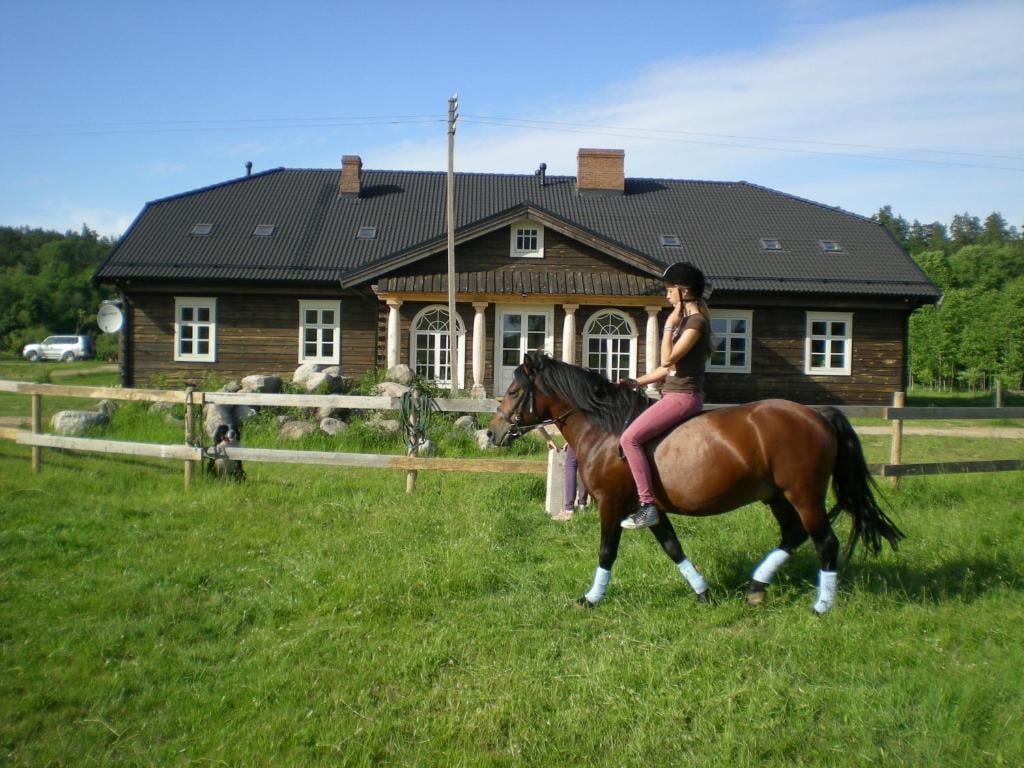 Alte Mayflower