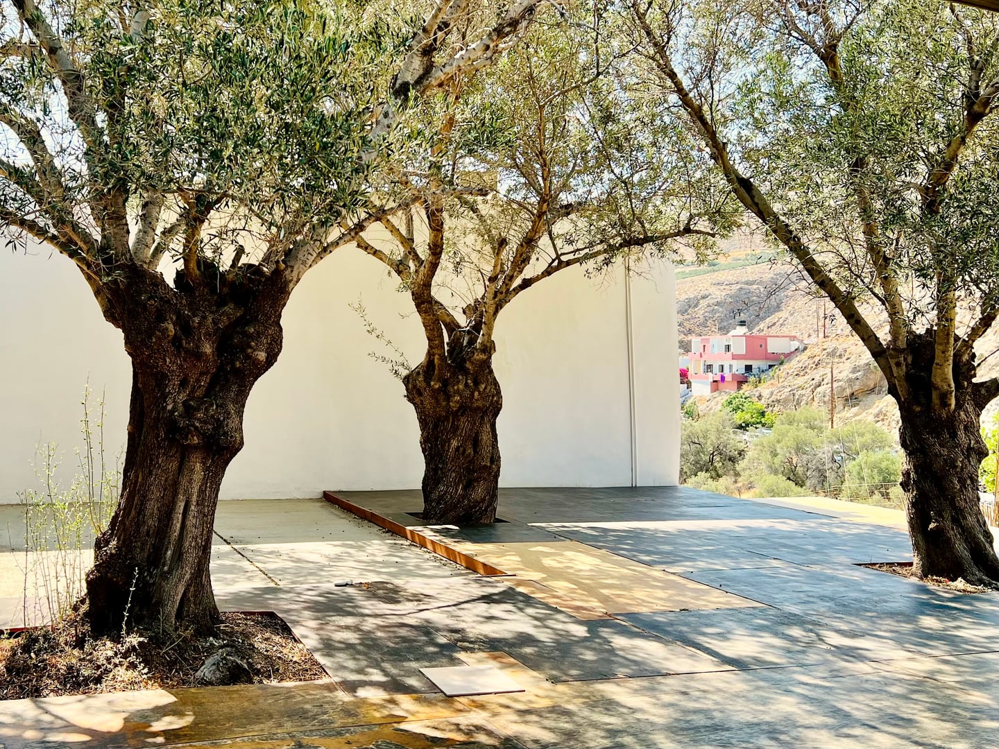 Yoga auf Kreta
