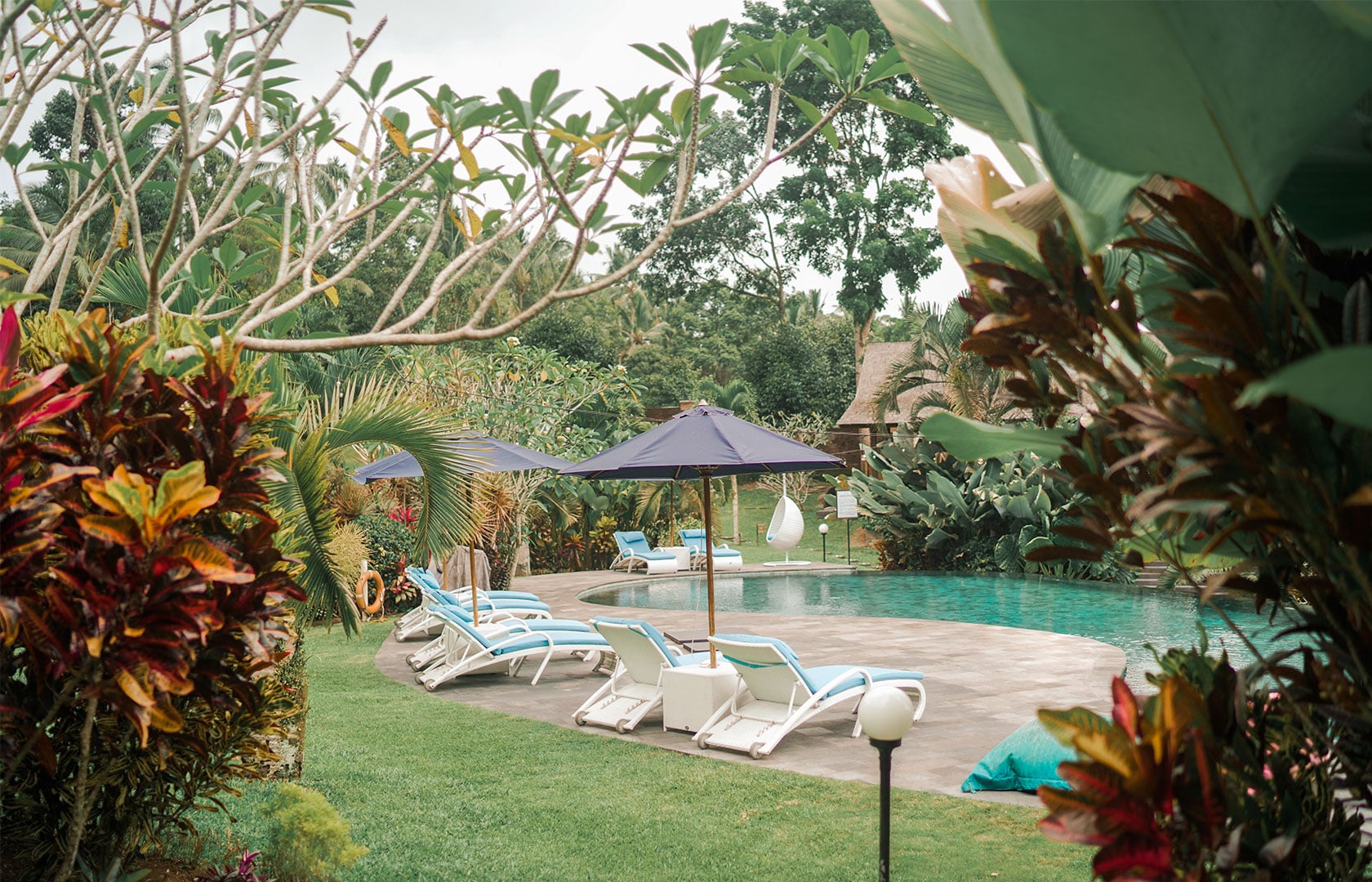 Bali Palms