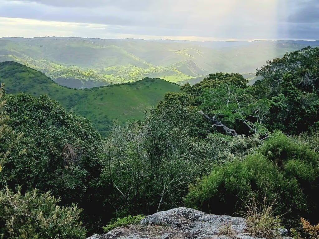 Louis an den Magwa Falls